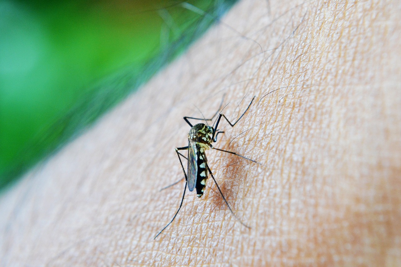 Read more about the article Dengue IgG Test  Center in Naigaon