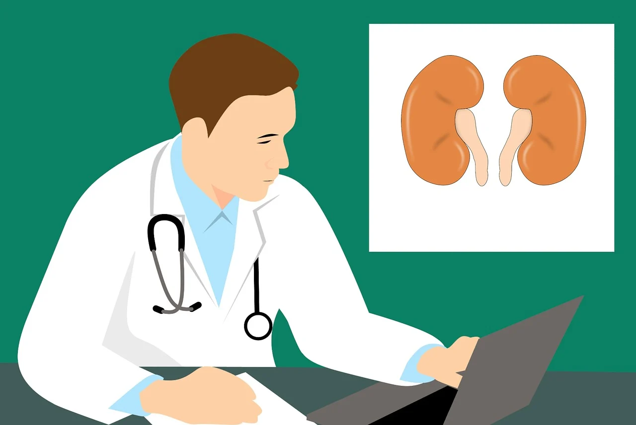 Read more about the article Kidney and Renal Function Test  Center in Naigaon